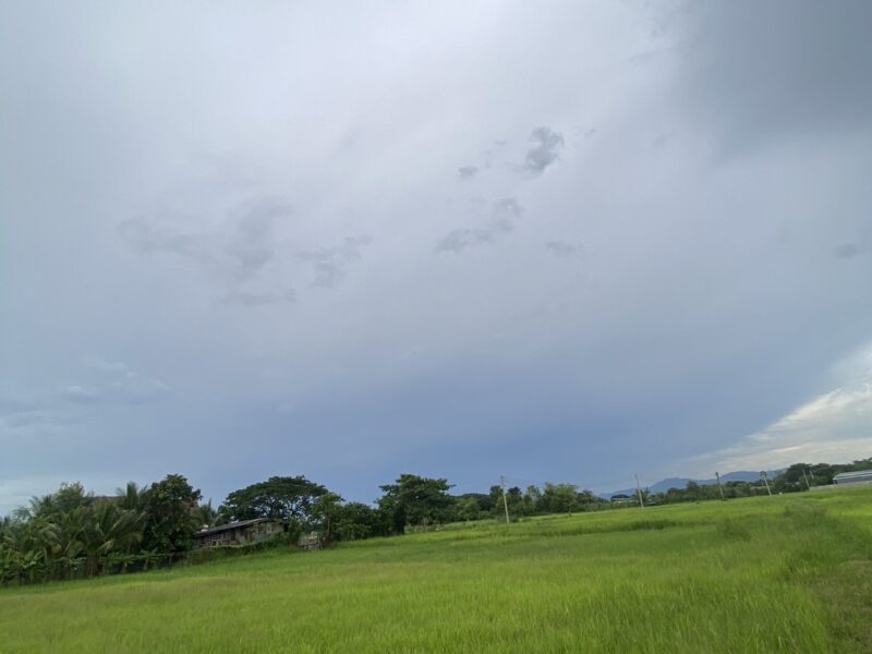 ขายที่ดินอำเภอเมืองลำปาง ที่ทุ่งนา 2 ไร่ 97 ตรว. มีถนนตัดผ่านน้ำไฟเข้าถึง
