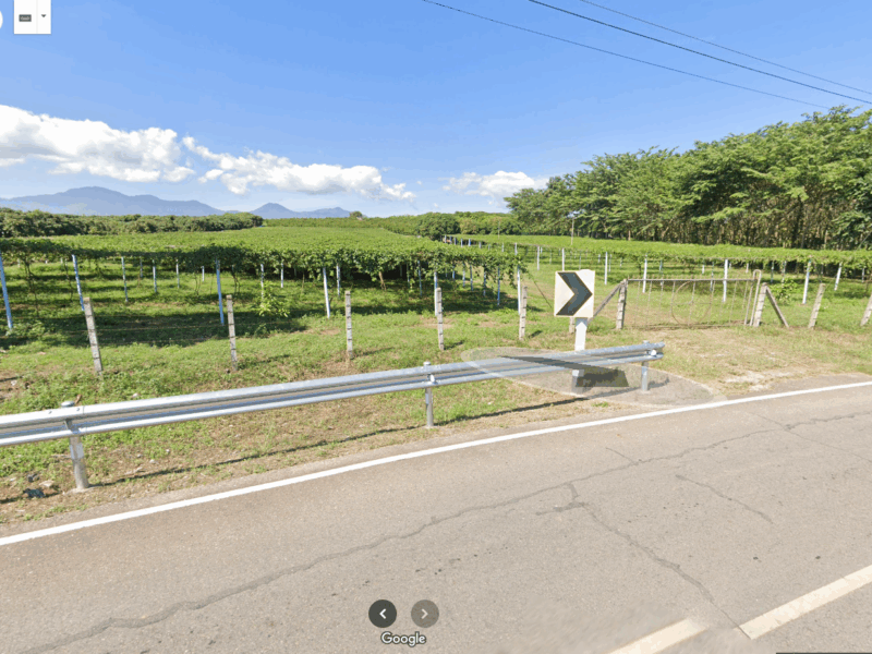 ด่วน !! ขายที่ดิน สวนเสาวรส พร้อมเก็บเกี่ยว