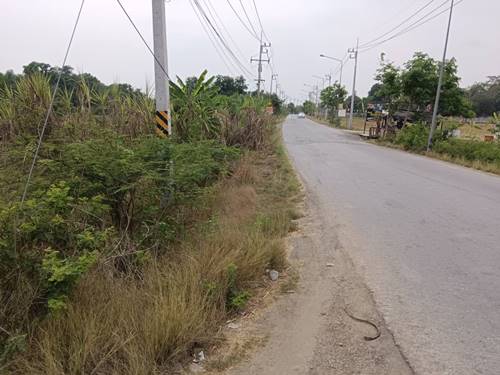 ขายที่ดินเปล่าในอำเภอบางน้ำเปรี้ยว จังหวัดฉะเชิงเทรา