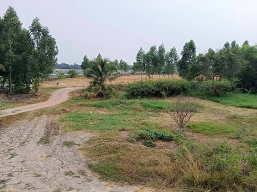 ขายที่ดินเปล่าในอำเภอบางน้ำเปรี้ยว จังหวัดฉะเชิงเทรา