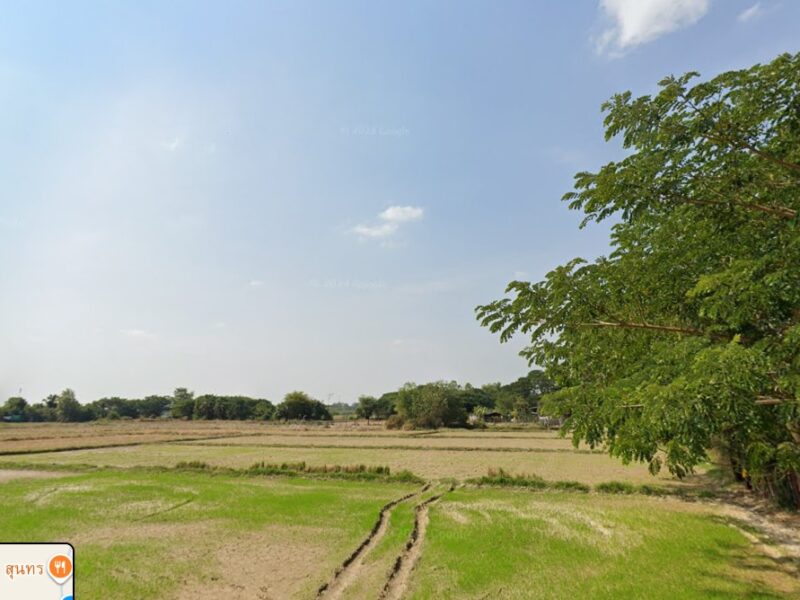 ขายที่ดินอำเภอเมืองลำปาง ที่ทุ่งนา 2 ไร่ 97 ตรว. มีถนนตัดผ่านน้ำไฟเข้าถึง