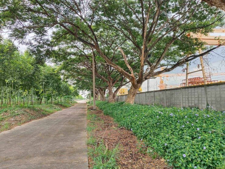 ขายที่ดินผังม่วง ถนนพหลโยธิน นวนคร พื้นที่ 110-3-35 ไร่ ต.คลองหนึ่ง อ.คลองหลวง จ.ปทุมธานี