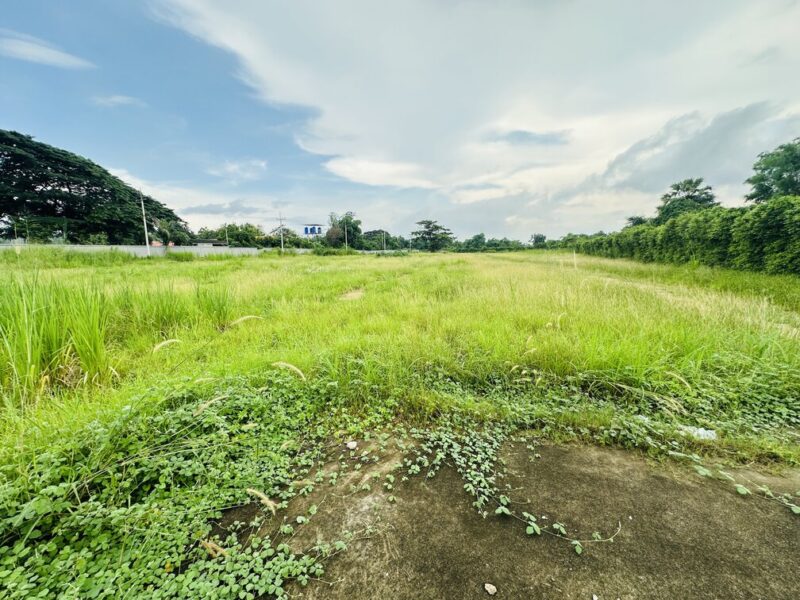 ขายที่ดิน เขตพื้นที่ EEC เนื้อที่ 9-1-70 ไร่ ถนนดอนนุ่น ตำบลบึง อำเภอศรีราชา จังหวัดชลบุรี