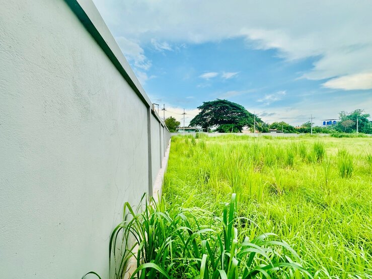 ขายที่ดิน เขตพื้นที่ EEC เนื้อที่ 9-1-70 ไร่ ถนนดอนนุ่น ตำบลบึง อำเภอศรีราชา จังหวัดชลบุรี
