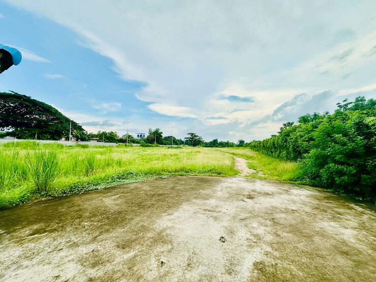 ขายที่ดิน เขตพื้นที่ EEC เนื้อที่ 9-1-70 ไร่ ถนนดอนนุ่น ตำบลบึง อำเภอศรีราชา จังหวัดชลบุรี