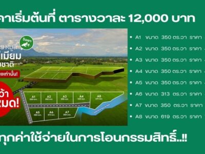 ขายที่ดินหมูสี ปากช่อง เขาใหญ่ โคราช แบ่งแปลงขายพร้อม สาธารณุปโภคพร้อม โทร 0814012278