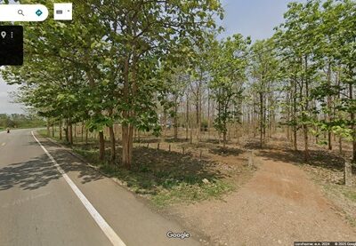 ด่วน! โอกาสทองสำหรับนักลงทุน ที่ดิน 29 ไร่ พร้อมสวนสักอายุ 12 ปี ใกล้เมืองลำพูน โทร 081-530-7997