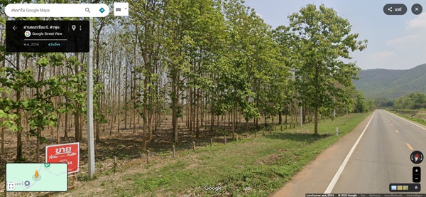 ด่วน! โอกาสทองสำหรับนักลงทุน ที่ดิน 29 ไร่ พร้อมสวนสักอายุ 12 ปี ใกล้เมืองลำพูน โทร 081-530-7997