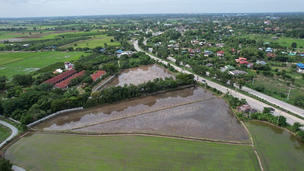 ด่วนที่สุด! ที่ดินทำเลทอง แบบนี้หาไม่ได้ง่ายๆ อ.ศรีประจันต์ จ.สุพรรณบุรี เนื้อที่ 5 ไร่ 2 งาน 93.6 ตร.ว. โทร 0614144465
