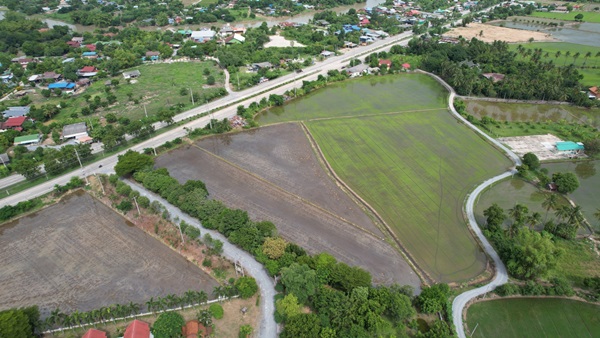 ด่วนที่สุด! ที่ดินทำเลทอง แบบนี้หาไม่ได้ง่ายๆ อ.ศรีประจันต์ จ.สุพรรณบุรี เนื้อที่ 5 ไร่ 2 งาน 93.6 ตร.ว. โทร 0614144465