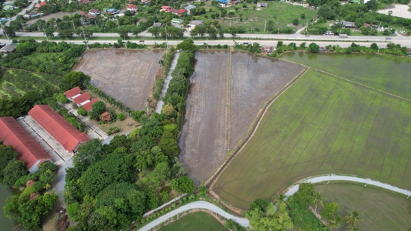 ด่วนที่สุด! ที่ดินทำเลทอง แบบนี้หาไม่ได้ง่ายๆ อ.ศรีประจันต์ จ.สุพรรณบุรี เนื้อที่ 5 ไร่ 2 งาน 93.6 ตร.ว. โทร 0614144465