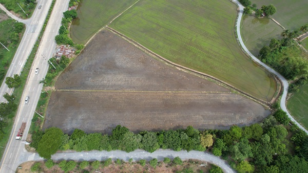 ด่วนที่สุด! ที่ดินทำเลทอง แบบนี้หาไม่ได้ง่ายๆ อ.ศรีประจันต์ จ.สุพรรณบุรี เนื้อที่ 5 ไร่ 2 งาน 93.6 ตร.ว. โทร 0614144465