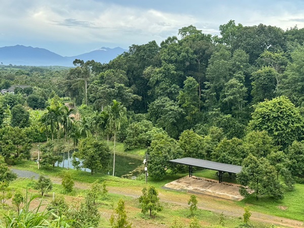 สวนทุเรียนขั้นบันได บ้านตากอากาศบนเขา พร้อมโฉนด! วิวหลักล้าน 11ไร่ อ.มะขาม จันทบุรี โทร 0830132000