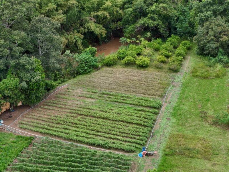 ที่ดินติดริมน้ำวิวเขาปากช่อง.( 3-3-12 ไร่.)( 5,500 บ./ตร.วา ) | ( น.ส.3ก ) หายาก ราคาพิเศษ!!