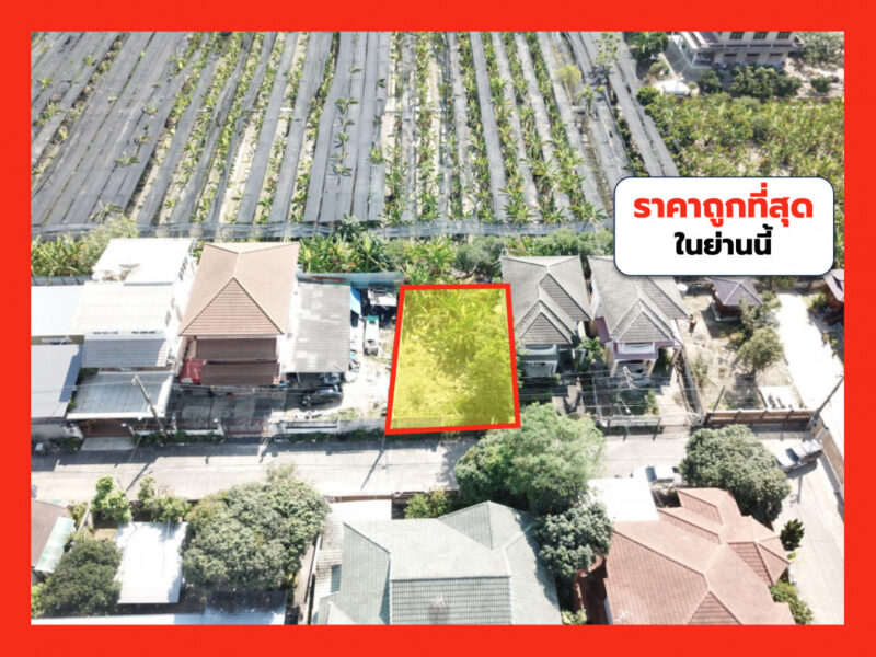 ขาย ที่ดิน ถูกที่สุด ซ.เพชรเกษม 81 ขนาด 48 ตร.วา ใกล้ถ.บางบอน 5 แค่ 240 ม. TV