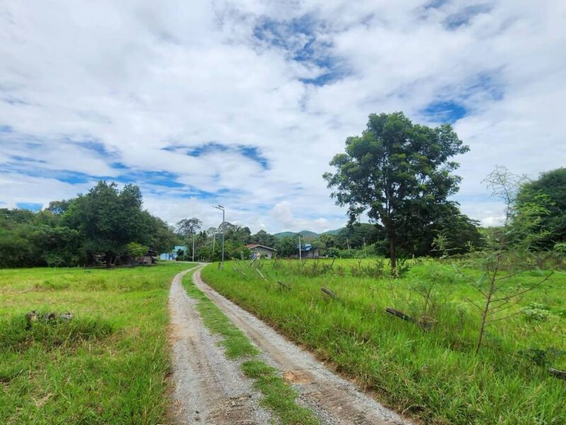 ขายที่ดินหลังสถานีรถไฟความเร็วสูงปากช่อง บ.เขาเสด็จ / ท่างอย | ใกล้ริมน้ำ & วิวเขา ( น.ส.3ก ) ราคาพิเศษ!!