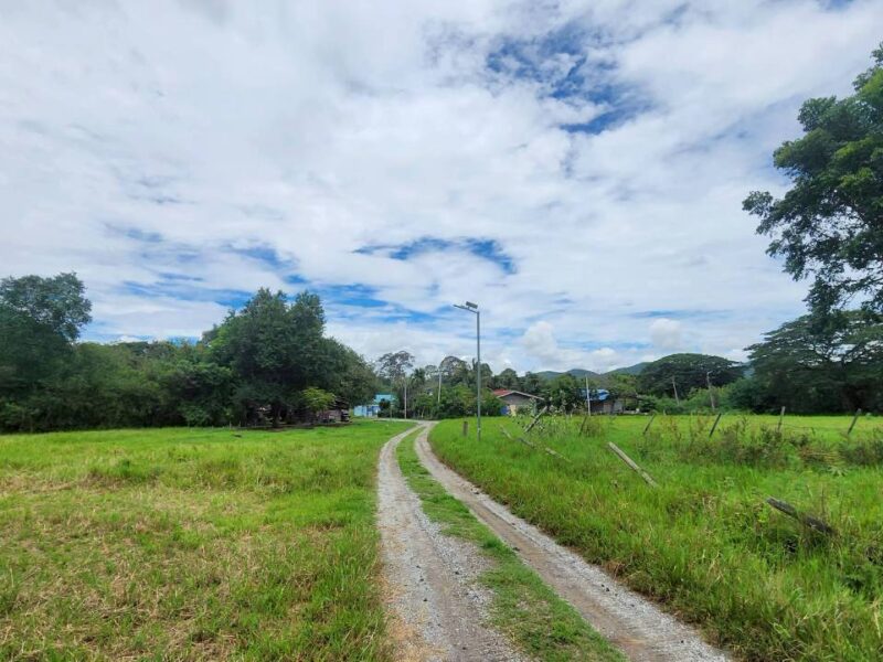 ขายที่ดินหลังสถานีรถไฟความเร็วสูงปากช่อง บ.เขาเสด็จ / ท่างอย | ใกล้ริมน้ำ & วิวเขา ( น.ส.3ก ) ราคาพิเศษ!!