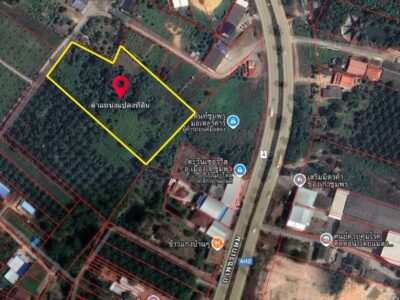 ที่ดินผังสีชมพู 7 ไร่ เมืองชุมพร ใกล้ถนนเพชรเกษม ที่ดินแปลงสวย