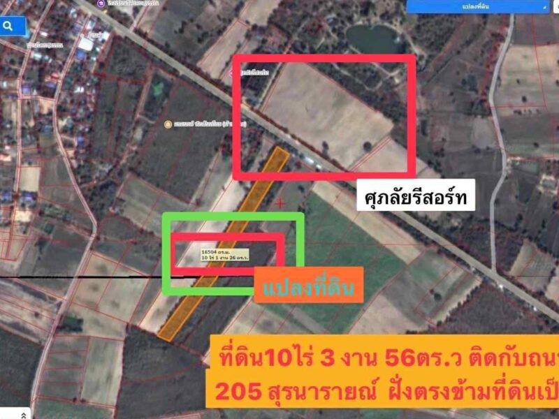 ติดถนนใหญ่ (พระทองคำ-ชัยภูมิ) โคราช 10-3-56 ไร่ ติดถนนหลวง 4 เลน (205) เส้นสุรนารายณ์