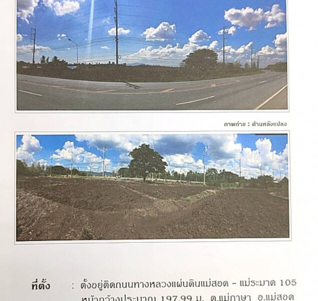 ขาย ที่ดิน แม่สอด ตาก เนื้อที่ 76 ไร่ 55 ตรว