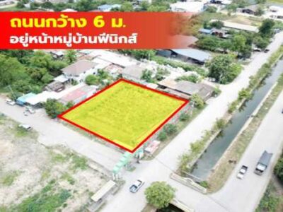ขาย ที่ดิน หมู่บ้านฟีนิกส์ คลอง2 คลองหลวง 372 ตรว เหมาะ สร้างบ้าน โกดัง สำนักงาน TV.