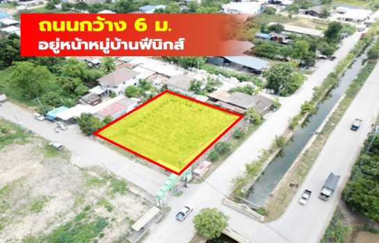 ขาย ที่ดิน หมู่บ้านฟีนิกส์ คลอง2 คลองหลวง 372 ตรว เหมาะ สร้างบ้าน โกดัง สำนักงาน TV.