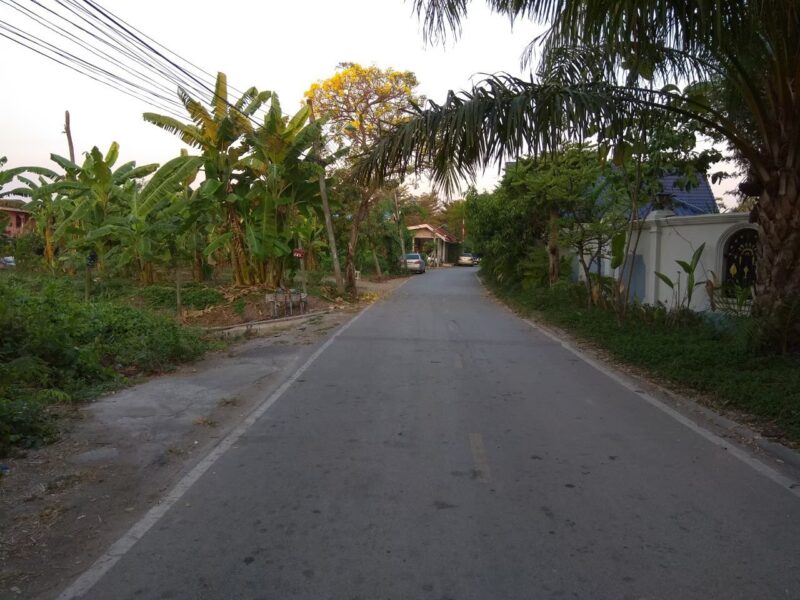 ขายทีดิน 2 แปลง แถมบ้านริมน้ำ