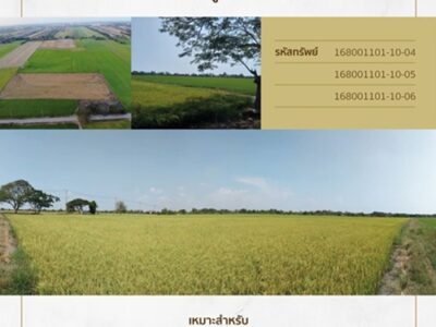 Property Highlights - ที่ดินหนองจอก–สุวินทวงศ์