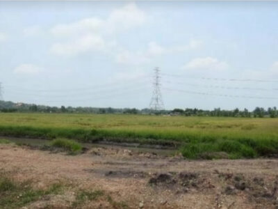 ขายที่ดิน เนื้อที่ 94-0-95 ไร่ อ.พนัสนิคม ใกล้โรงพยาบาลส่งเสริมสุขภาพตำบลหัวถนน