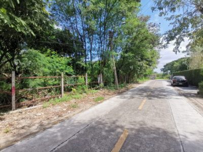 ขาย ที่ดิน เพชรเกษม 77 แยก 1 ขนาด 362 ตรว ใกล้ถ.เพชรเกษม 1 กม CC
