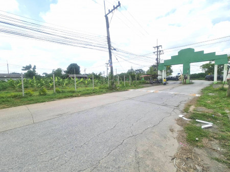 ขาย ที่ดิน หมู่บ้านฟีนิกส์ คลอง2 คลองหลวง 372 ตรว เหมาะ สร้างบ้าน โกดัง สำนักงาน TV.