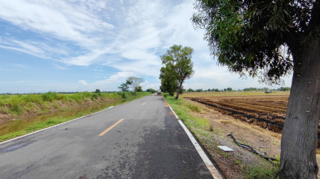 ขาย ที่ดินเปล่า 10 ไร่ คลอง 5 ฝั่งตะวันออก อ. คลองหลวง ปทุมธานี หน้ากว้าง ติดถนนคอนกรีต