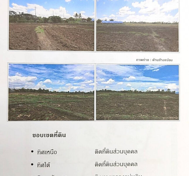 ขาย ที่ดิน แม่สอด ตาก เนื้อที่ 76 ไร่ 55 ตรว