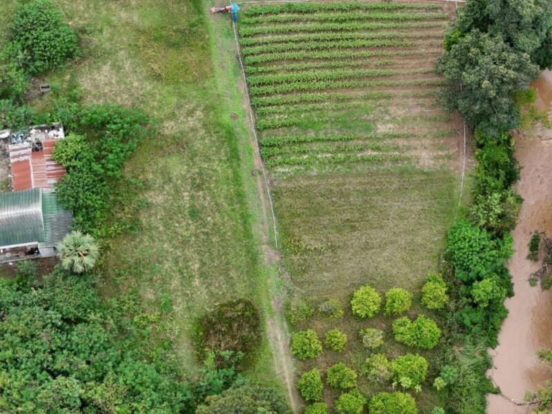 ที่ดินติดริมน้ำวิวเขาปากช่อง.( 3-3-12 ไร่.)( 5,500 บ./ตร.วา ) | ( น.ส.3ก ) หายาก ราคาพิเศษ!!