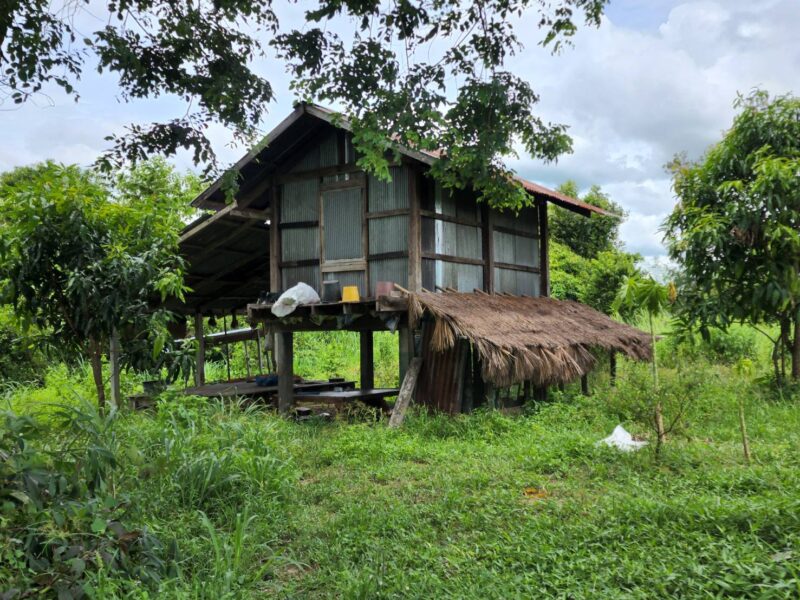 ขายที่ดิน 2 แปลงติดกัน รวม 1 ไร่ 1 งาน 97 ตรว. ต.ดงแคนใหญ่ อ.คำเขื่อนแก้ว จ.ยโสธร