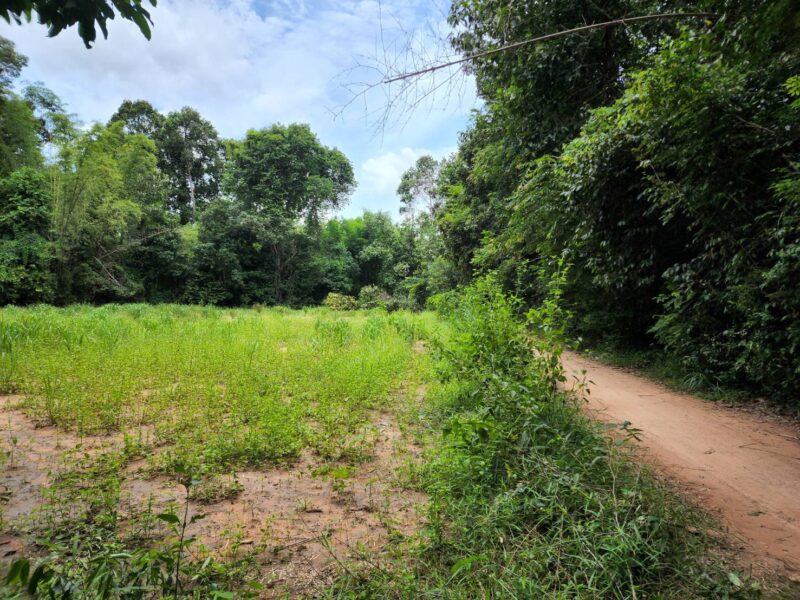 ขายที่ดิน 2 แปลงติดกัน รวม 1 ไร่ 1 งาน 97 ตรว. ต.ดงแคนใหญ่ อ.คำเขื่อนแก้ว จ.ยโสธร