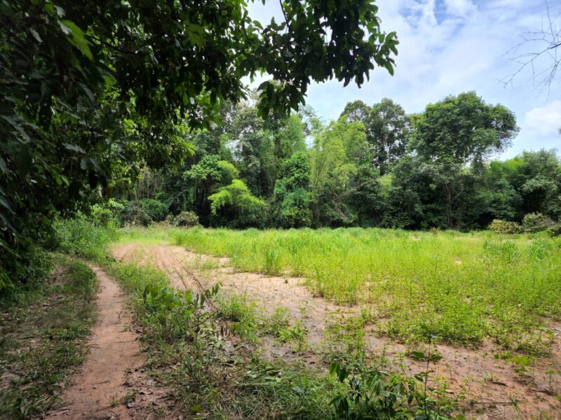 ขายที่ดิน 2 แปลงติดกัน รวม 1 ไร่ 1 งาน 97 ตรว. ต.ดงแคนใหญ่ อ.คำเขื่อนแก้ว จ.ยโสธร