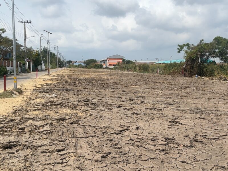 ขายด่วนที่ดิน 86 ตร.ว. สมุทรปราการ ถมแล้ว พร้อมปลูกสร้าง ทำเลดี ใกล้สิ่งอำนวยความสะดวก เจ้าของขายเองc