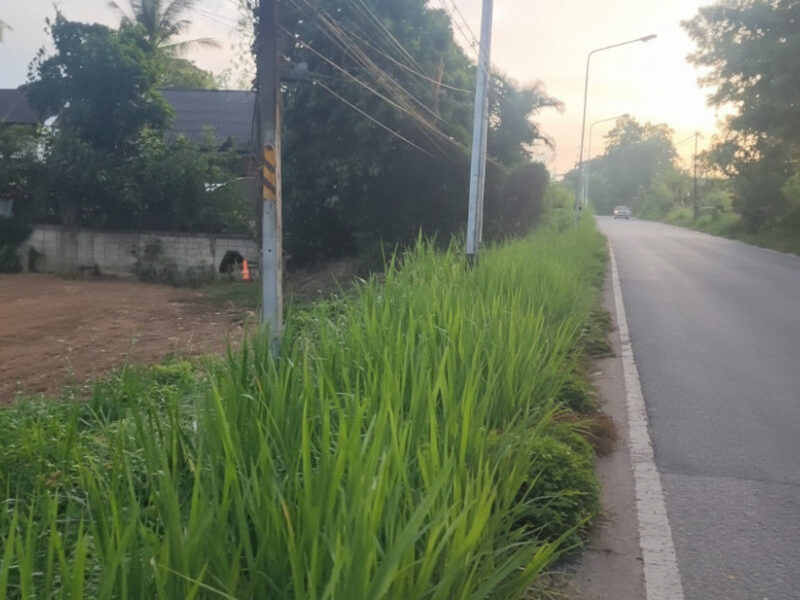 ขายที่ดินเปล่า เนื้อที่ 9-2-82.6 ไร่ ติดถนนหมายเลข 1156 ใกล้ อบต.บ้านเรือน