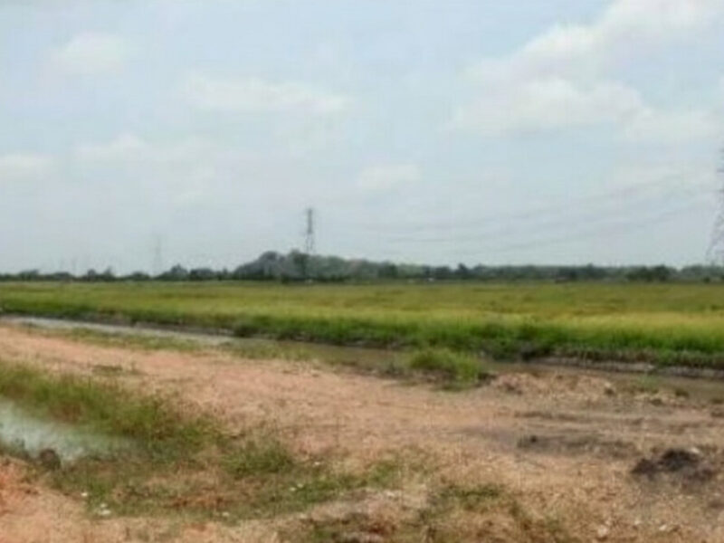 ขายที่ดิน เนื้อที่ 94-0-95 ไร่ อ.พนัสนิคม ใกล้โรงพยาบาลส่งเสริมสุขภาพตำบลหัวถนน
