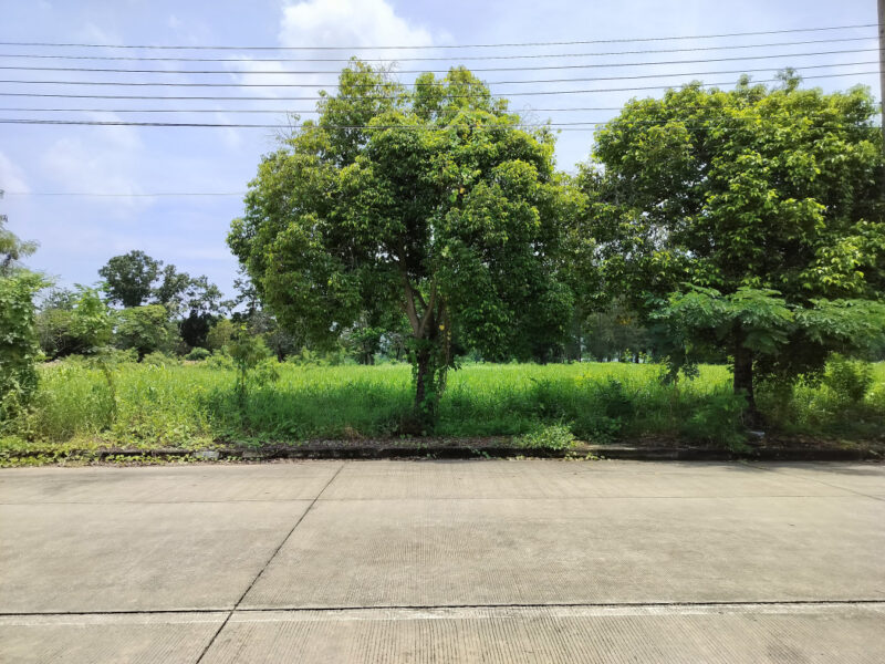 ขาย ที่ดิน สนามกอล์ฟวินเซอร์ปาร์ค 2 ไร่ ใกล้ถ.สุวินทวงศ์แค่ 950 ม. CC