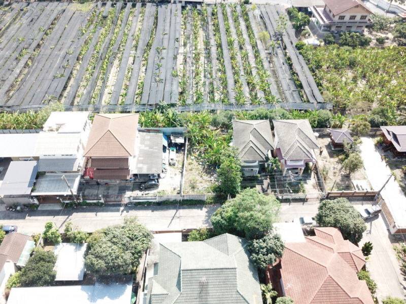 ขาย ที่ดิน ถูกที่สุด ซ.เพชรเกษม 81 ขนาด 48 ตร.วา ใกล้ถ.บางบอน 5 แค่ 240 ม. TV