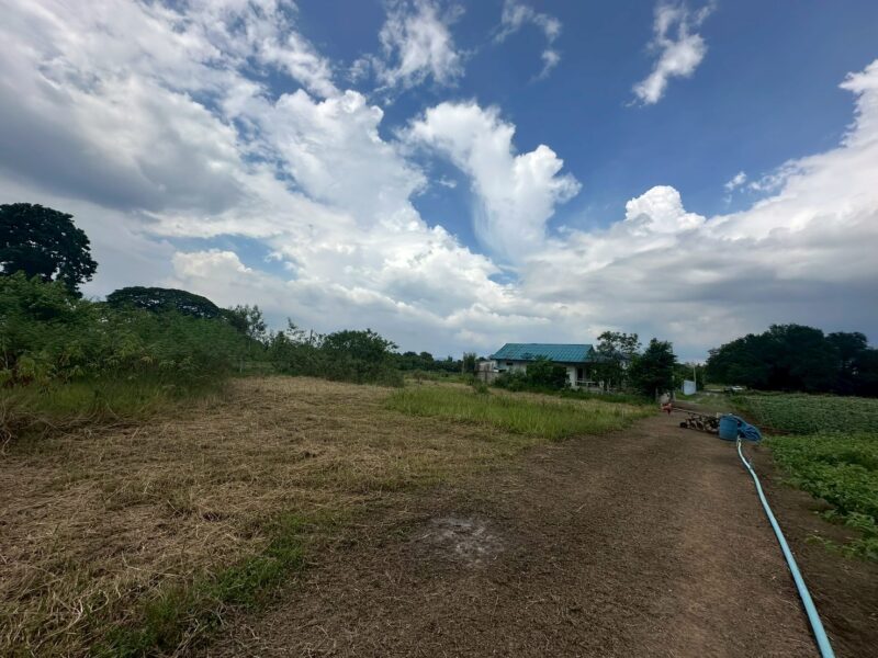 ขายที่ดินหลังสถานีรถไฟความเร็วสูงปากช่อง บ.เขาเสด็จ / ท่างอย | ใกล้ริมน้ำ & วิวเขา ( น.ส.3ก ) ราคาพิเศษ!!