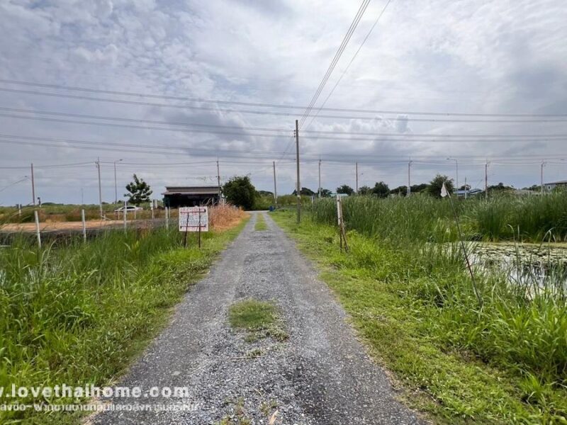ขายที่ดิน ซอยวัดพระเงิน ถนนบางม่วง-บางคูลัด พื้นที่ 295 ตรว. แปลงสวย เหมาะลงทุน ใกล้ตลาดน้ำบางคูลัด