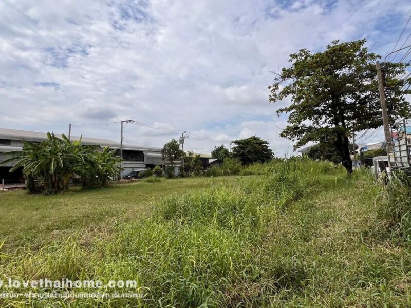 ขายที่ดิน ถนนบางกระดี่19 แยก6 พื้นที่ 792 ตรว. ราคาถูกที่สุดในย่านนั้น ใกล้เซ็นทรัล พระราม2 เหมาะลงทุน