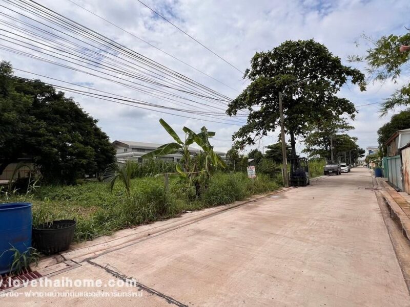 ขายที่ดิน ถนนบางกระดี่19 แยก6 พื้นที่ 792 ตรว. ราคาถูกที่สุดในย่านนั้น ใกล้เซ็นทรัล พระราม2 เหมาะลงทุน