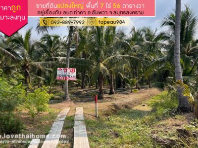 ขายที่ดิน ท่าคา สมุทรสงคราม พื้นที่ 7 ไร่ 56 ตารางวา ขาย 8.9 ล้านบาท ตั้งอยู่เยื้องกับ อบต.ท่าคา ราคาถูก เหมาะลงทุน