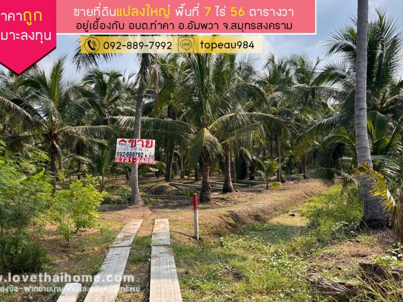 ขายที่ดิน ท่าคา สมุทรสงคราม พื้นที่ 7 ไร่ 56 ตารางวา ขาย 8.9 ล้านบาท ตั้งอยู่เยื้องกับ อบต.ท่าคา ราคาถูก เหมาะลงทุน