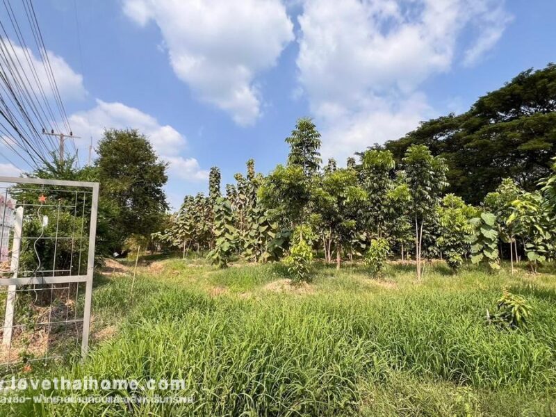 ขายที่ดิน ติดถนนเพชรเกษม ต.อ่างทอง จ.ราชบุรี พื้นที่ 3-2-3 ไร่ ใกล้แยกชินสีห์ แปลงสวย ราคาถูกเหมาะลงทุน