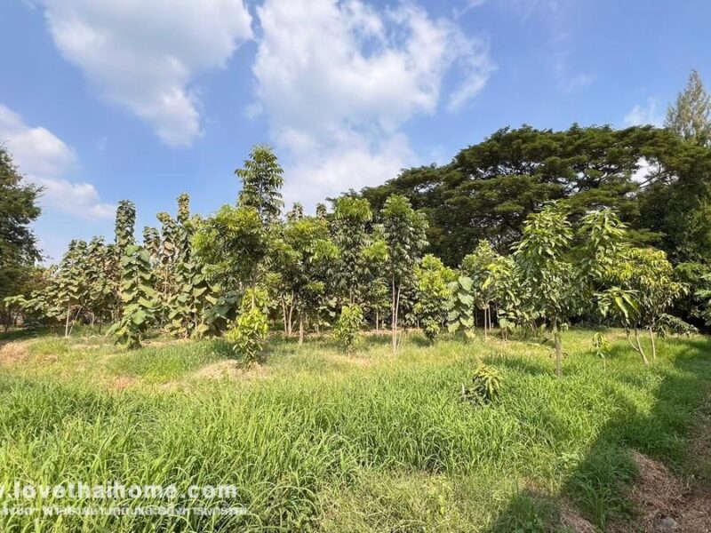 ขายที่ดิน ติดถนนเพชรเกษม ต.อ่างทอง จ.ราชบุรี พื้นที่ 3-2-3 ไร่ ใกล้แยกชินสีห์ แปลงสวย ราคาถูกเหมาะลงทุน
